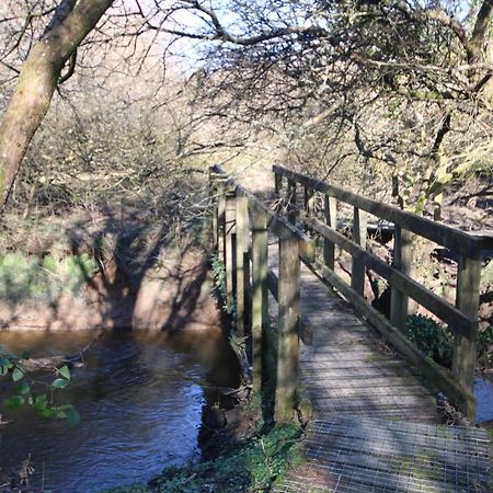 Hartland Hideaway Lodge Woolfardisworthy  Luaran gambar